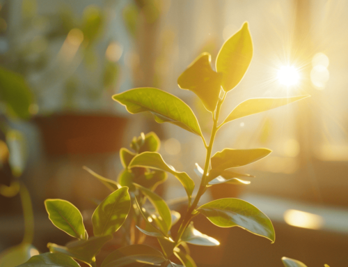 Cómo enfrentar nuevos retos